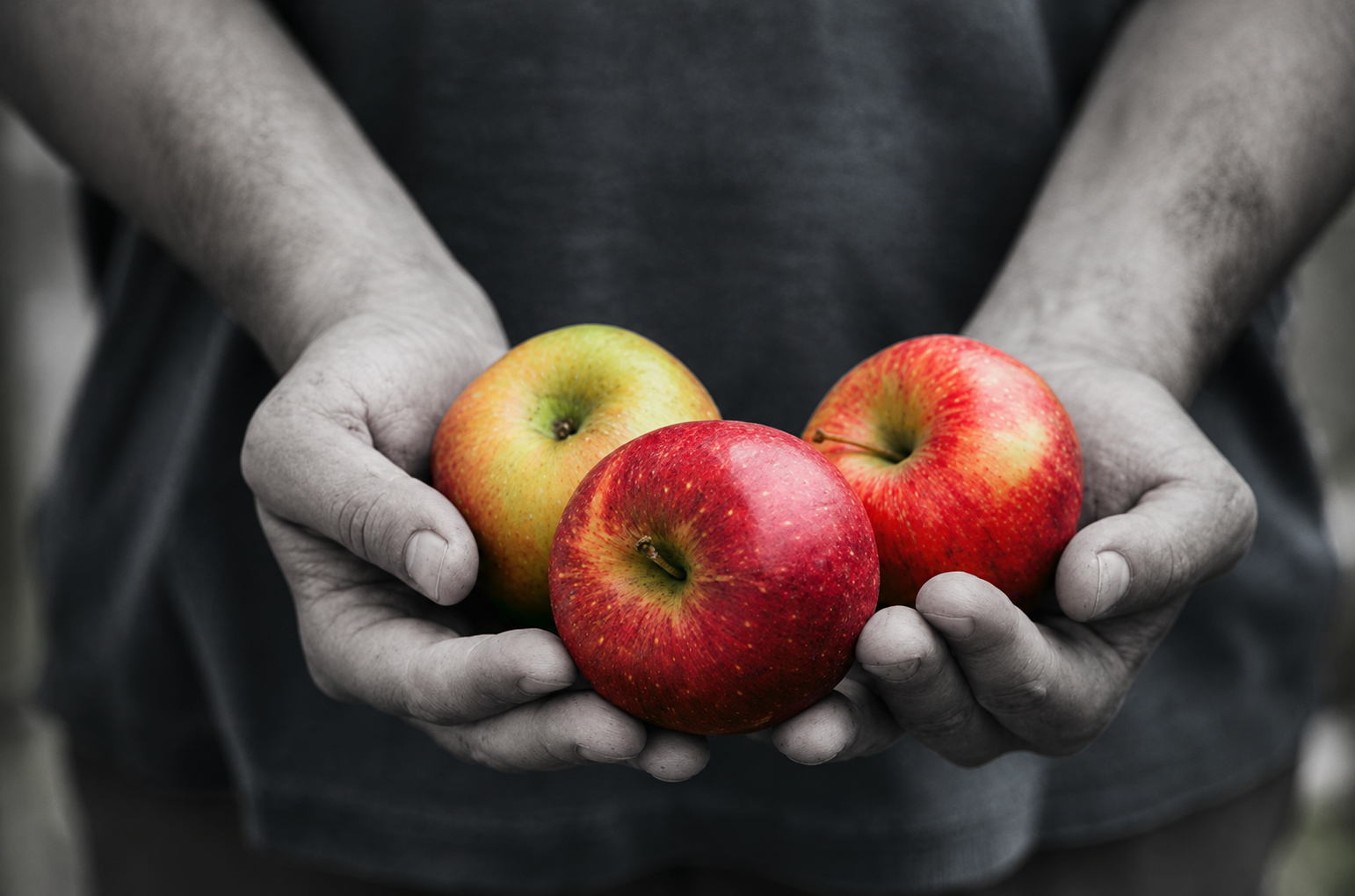 Apples with a tinted black and white effect
